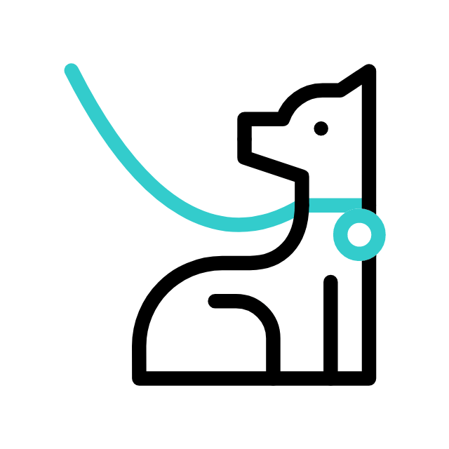 dog (2)